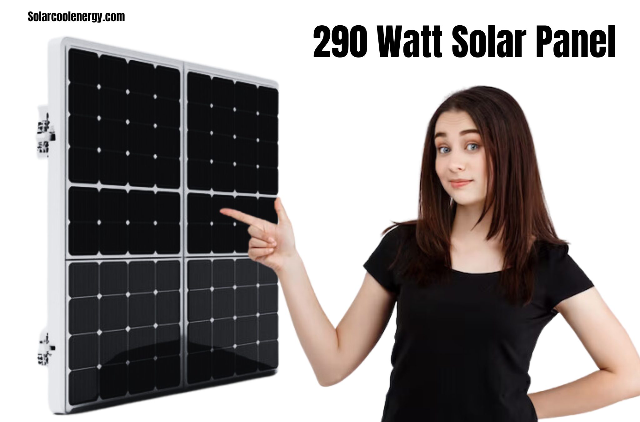 290 Watt Solar Panel