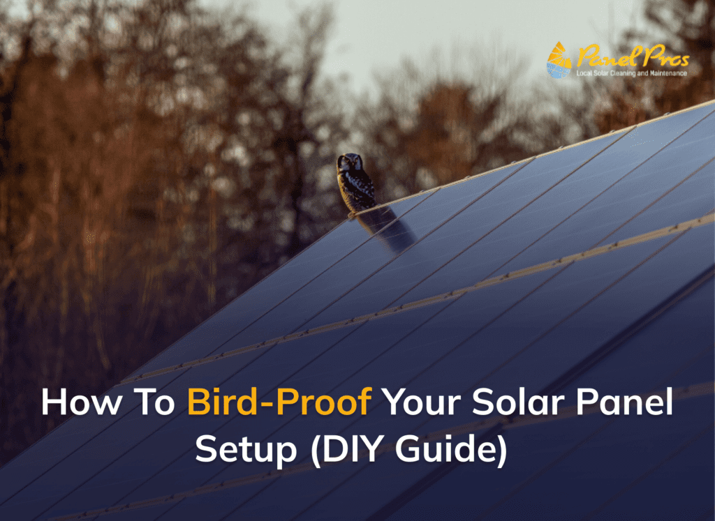 Bird Proofing Solar Panels 
