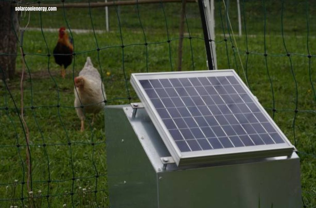 solar water heater for chickens